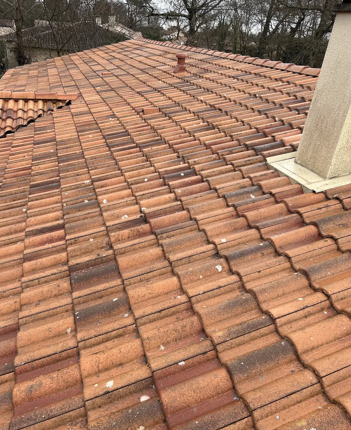 Après — Démoussage complet